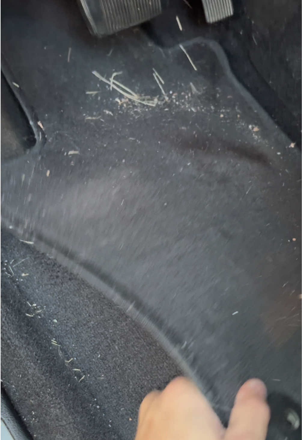 Interior detail by Driveway Detailers Virginia
